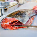 Fisch, Meeresfrüchte & Krustentiere - ABGESAGT #CORONA